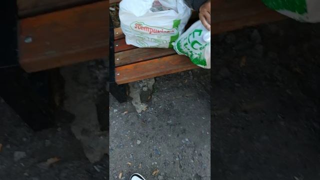 Помог человеку. Будь добрее смотреть онлайн