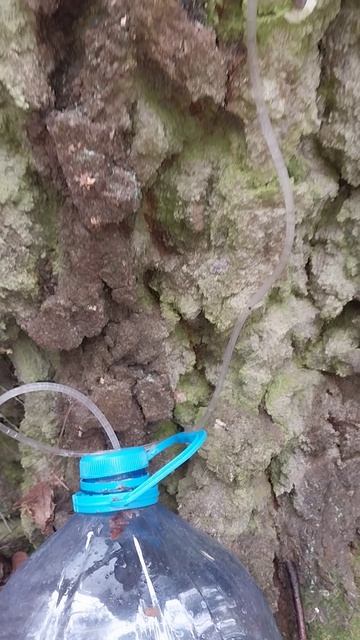 Деревенский санаторий 