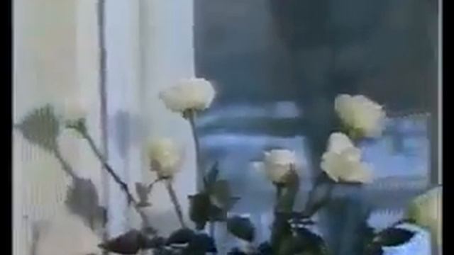 Белые розы.mp4 смотреть онлайн
