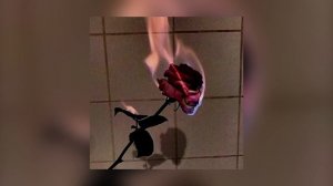 roses (sped up)