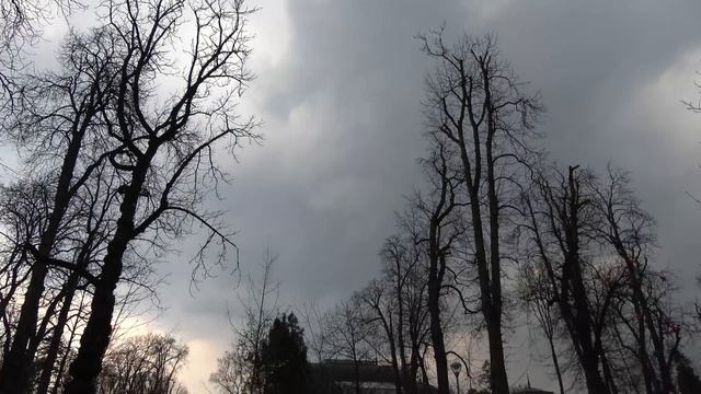 test 4k смотреть онлайн