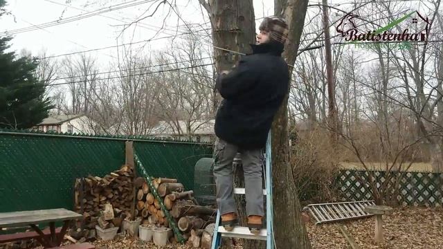 Cuidando dos pássaros no inverno / Caring for the birds in the winter смотреть онлайн