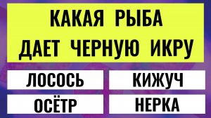 Вы считаете себя эрудитом? Тогда попробуйте набрать 20/20! тесты на эрудицию