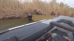 ОНИ КРИЧАЛИ, ПРОСИЛИ ПОМОЩИ!!! БРАКОНЬЕРСКИЕ СЕТИ, ЭВАКУАЦИЯ! Рыбалка на поплавок.