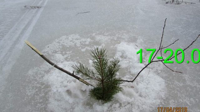УНАКС И СОМБА ОЗЁРА ,ВЕСНА 2019. смотреть онлайн