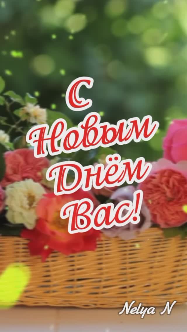 С Новым Днём Вас! ВидеоОткрытка смотреть онлайн