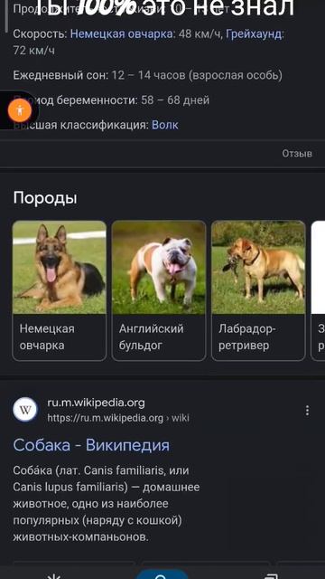 ты это 100% не знал #google смотреть онлайн