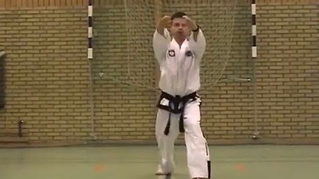 2 гып, Тэ Ге (Той ге) красный пояс, Toi Gye тхэквондо taekwondo таэквондо комплекс видео смотреть онлайн