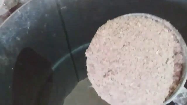 НОВОСГА БУКАГА НЕЧА КГ ЕМ БЕРСАМ СЕМИРАДИ смотреть онлайн