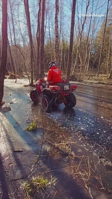 За лесом море на квадроцикле #atv #квадроциклы #brp смотреть онлайн
