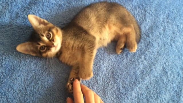 IMG 9320 смотреть онлайн