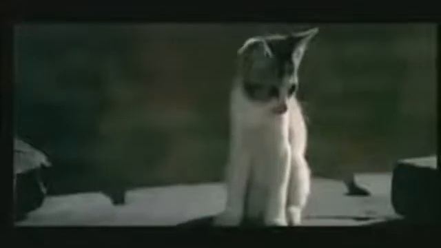 Nota de voz #2 / Pussy Malanga смотреть онлайн