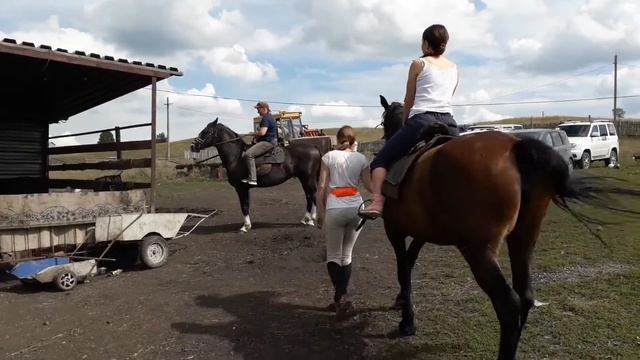 2017.08.20 Укрощение строптивых-1 смотреть онлайн