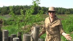 Советы Нины Андреевой Часть 2