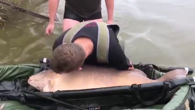 Karp 49 kg REKORD ŚWIATA смотреть онлайн