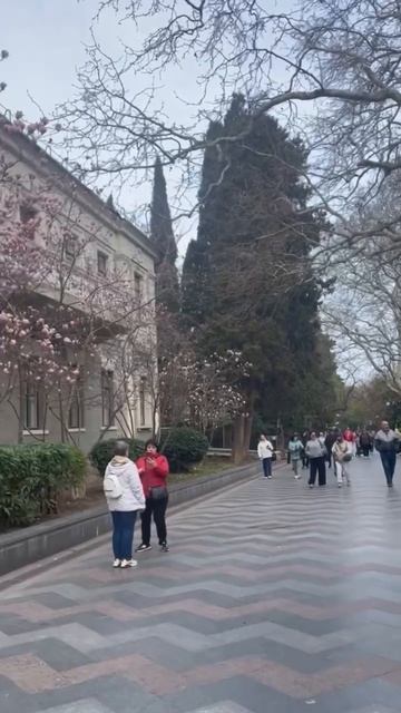 Ялта 💖💖💖 смотреть онлайн