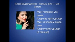 Ильсия Бадретдинова  - Камыш эйтэ  - мин эйтэм