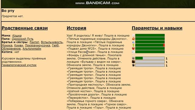 ЗДРАВСТВУЙ, ГОРОД! - Catwar | Лепесточек
