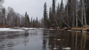 Наш апрельский секрет от хариуса)))
