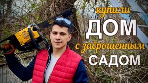 УЕХАЛИ ИЗ ГОРОДА В СЕЛО #32. Спиливаем старые деревья. Расчищаем участок.