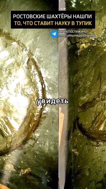 Ростовские шахтёры нашли то, что ставит науку в тупик смотреть онлайн