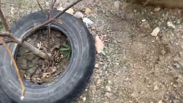 Маршрутка из бруса 2 часть смотреть онлайн