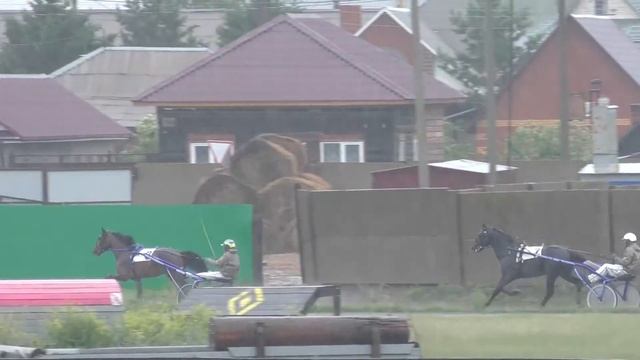 6.06.2020г. орловской рысистой породы 2-х лет,1600м смотреть онлайн