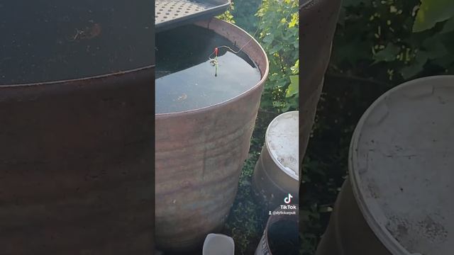 рыбалка смотреть онлайн