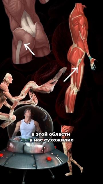 Хватит загоняться из-за своей анатомии! #упражнения #фитнес #фитнесупражнения #осанка #накачаться смотреть онлайн