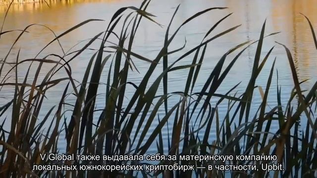 Южнокрейскую криптобиржу V Global подозревают в мошенничестве на $1,5 млрд смотреть онлайн