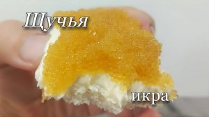 ЩУЧЬЯ ИКРА. Как засолить икру щуки. Самый простой и вкусный рецепт приготовления щучьей икры