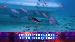 «Центральное телевидение». Выпуск от 29 марта 2025 года