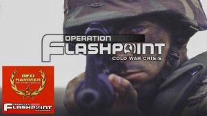 Operation Flashpoint : Red Hammer #10