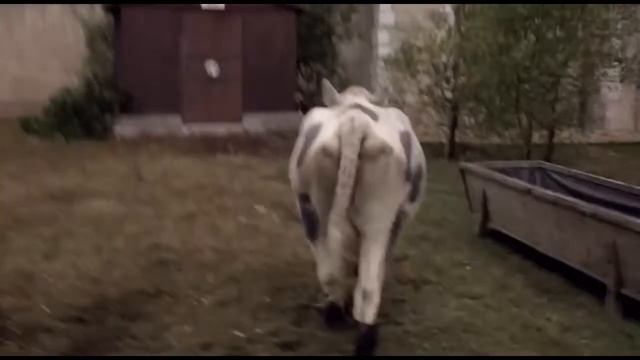 Корова смотреть онлайн