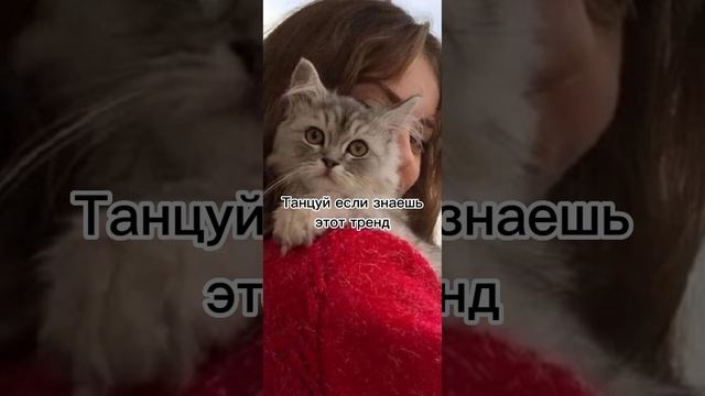 Танцуй если знаешь этот тренд смотреть онлайн