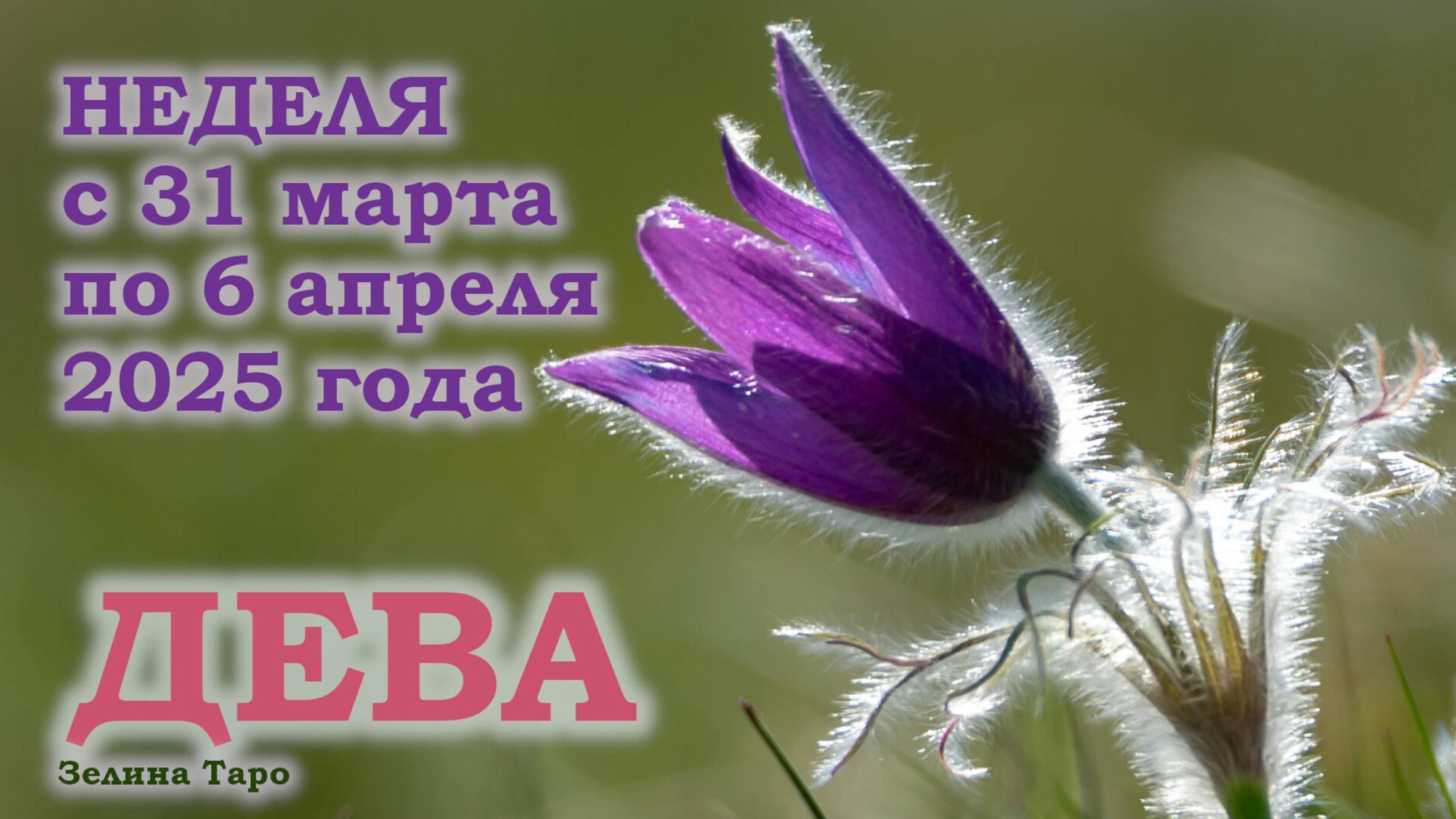 ДЕВА | ТАРО прогноз на неделю с 31 марта по 6 апреля 2025 года