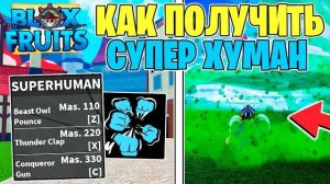 🔥Как получить Супер Хуман в Блокс Фрутс БФ🔥