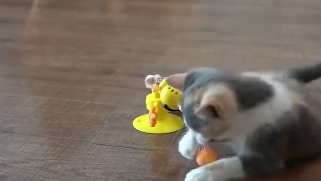 Игрушка для кошек и собак смотреть онлайн