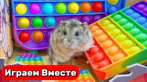 Лабиринт для Хомяка ! ПОПИТ ЛАБИРИНТ для Умного Хомяка ! Видео для детей #топыкатегорий