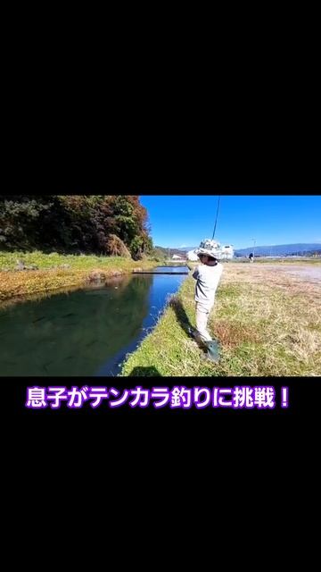My son challenges tenkara fishing #tenkara #shorts смотреть онлайн