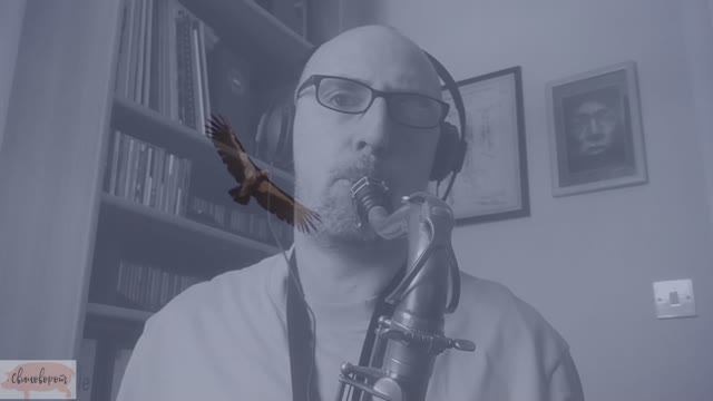 Полёт кондора (Flying Condor)