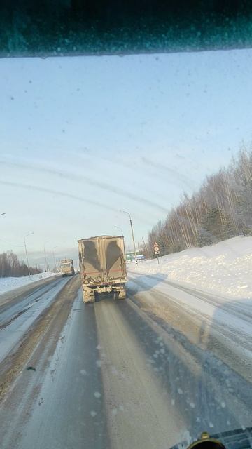 Перевозка животных по России