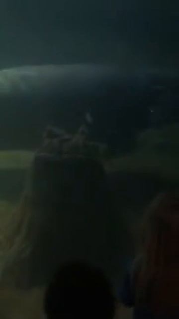 Hippos3 смотреть онлайн