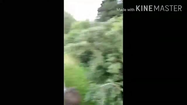 Танк т34 в городе Зеленоград смотреть онлайн