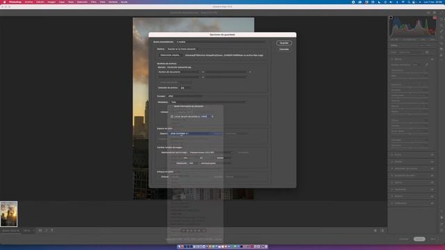 Convertir un archivo Raw en JPG смотреть онлайн