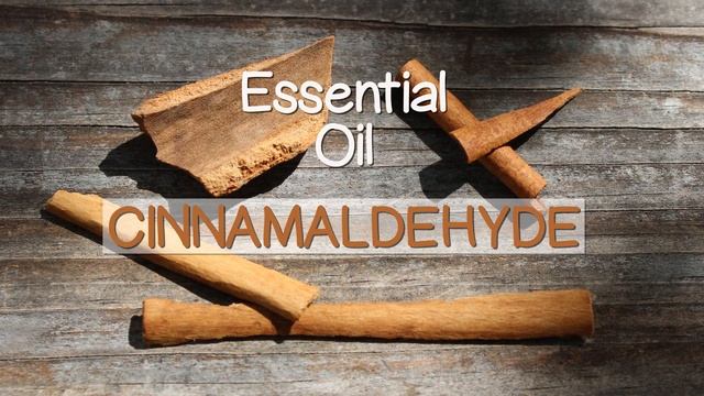 Chinese Cinnamon Bark (Rou Gui) and Twig (Gui Zhi) VS Cinnamon Spice смотреть онлайн