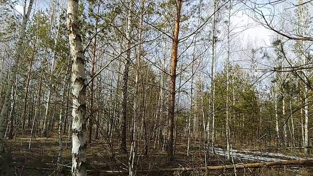 Цель жизни и путь развития смотреть онлайн