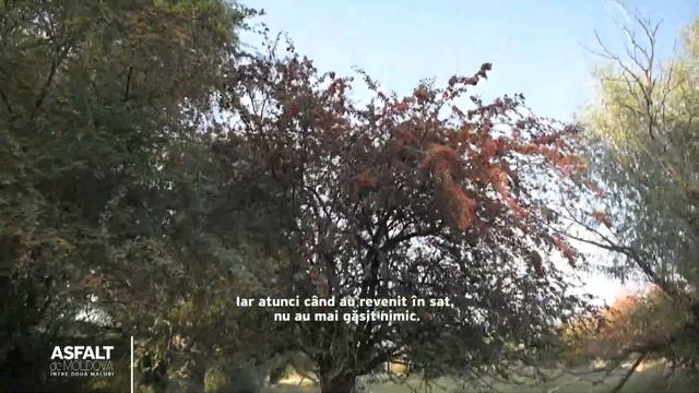 Asfalt De Moldova. Кошница-Дубоссары-Дзержинское