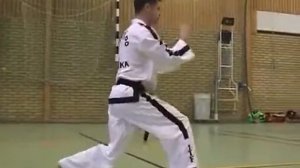 6 гып, зеленый пояс, До сан (Do San) тхэквондо taekwondo таэквондо