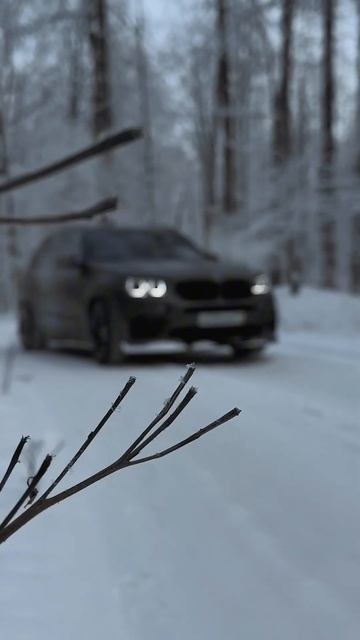 ❄️☃️ #x5mf85 #x6mf86 #x5m #f85 #bassecurity смотреть онлайн